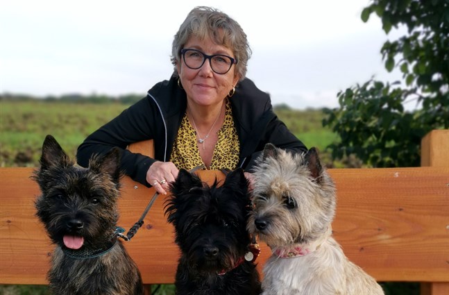 Susanne Känsäkangas med sina hundar Bianca, Albin och Kajsa.