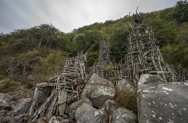 Översiktsbild över Lars Vilks träkonstverk Nimis i Kullabergs naturreservat. Arkivbild.
