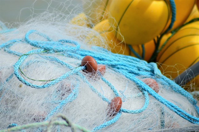EU:s ministerråd för jordbruk och fiske beslöt att förbjuda allt kommersiellt laxfiske i Östersjöns huvudbassäng.