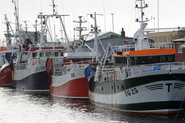 Oron är stor inom det småskaliga kustfisket sedan EU:s nya fiskekvoter är slutförhandlade.