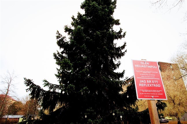 Stadens reflexträd hittas i Fredsparken. Det önskar en glad och lysande vinter.