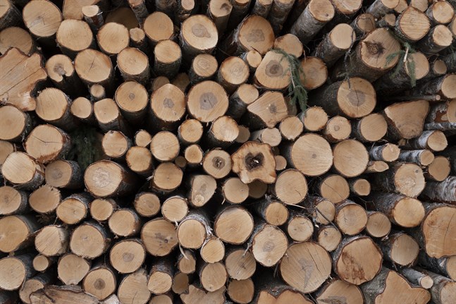 Skogsindustrikoncernen Stora Enso hade en mycket stark tillväxt under tredje kvartalet.
