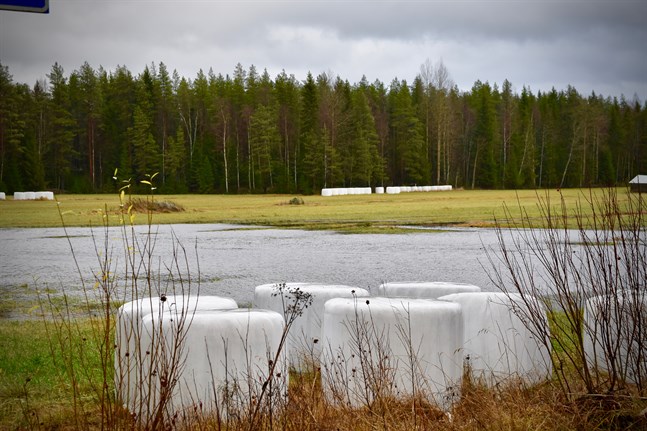 Det finns risk för översvämningar speciellt längs den södra och västra kusten, varnar miljöcentralen.