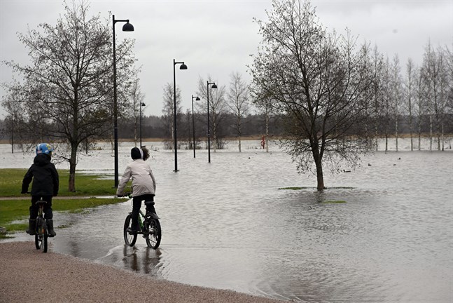 I Helsingfors har havsvattnet täckt cykelvägar och parker vid Arabiastranden.