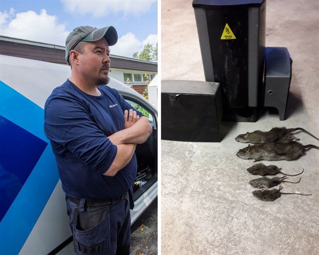 Skadedjursbekämparen Juha Pikkarainen delar med sig av några tips för att få bort råttor och möss ur huset.
