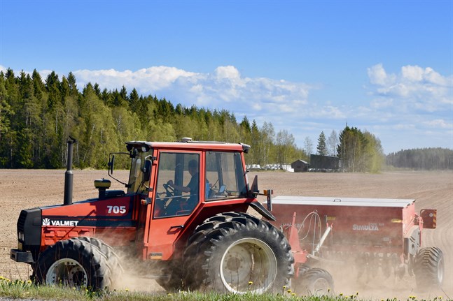 I år fanns det 44 700 jordbruks- och trädgårdsföretag i Finland, enligt preliminära uppgifter från Naturresursinstitutet. Arkivbild.
