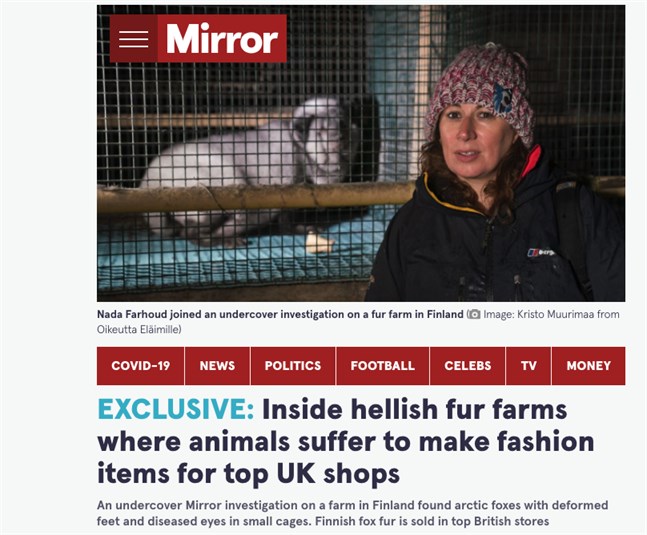 Journalisten själv poserar framför en österbottnisk rävfarm och beskriver i rubriken sitt "exklusiva" besök till det "helvetiska" stället där djuren "lider" för modets skull.