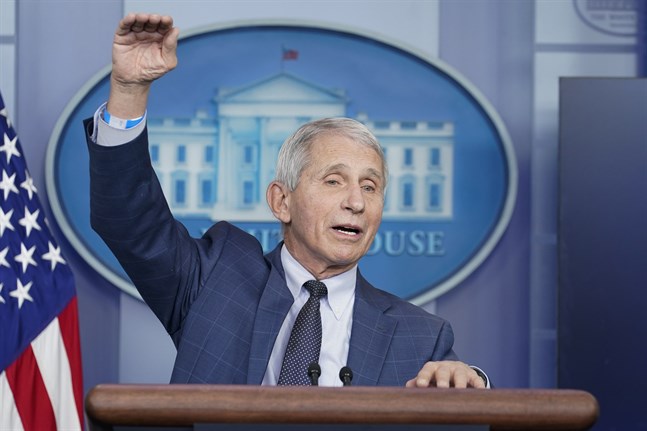 USA:s ledande smittskyddsexpert Anthony Fauci. Arkivbild.