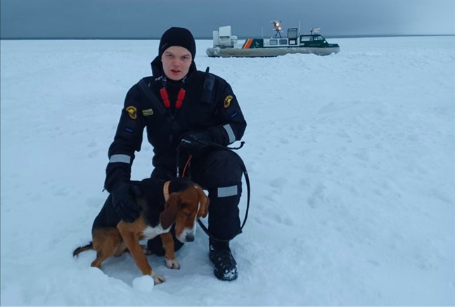 Hunden Walio räddades från en holme långt ute på havet.