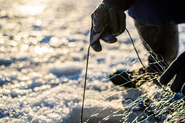 Fiskevårdsavgiften är obligatorisk för alla fiskare i åldern 18–64 år.