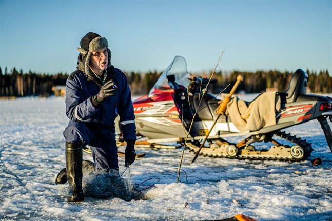 Erik V Söderholm på Bergö är orolig för att en ändring i fiskeförordningen blir en katastrof för sikfisket längs kusten.