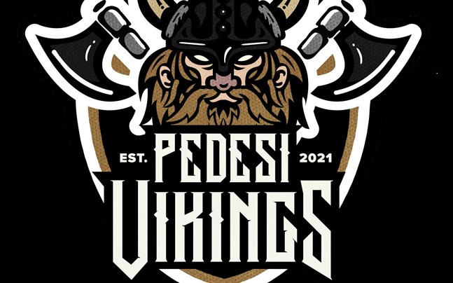 Sommarens division 6 består av 14 lag. Nytt lag i serien är Pedesi Vikings från Pedersöre.