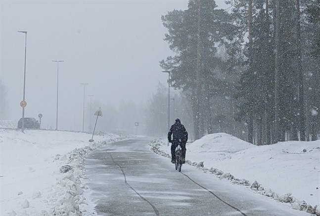 På onsdag eftermiddag vräkte snön ner i Vasatrakten.