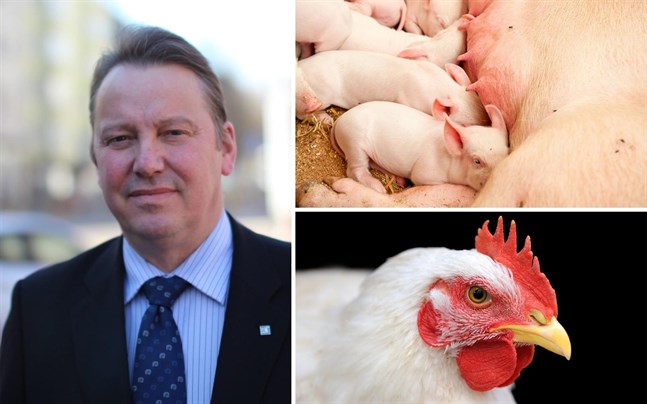 Mats Nylund hoppas att pengarna kunde betalas ut till jordbrukarna redan under våren. Särskilt de som har grisar eller höns har problem med lönsamheten i dagens läge.
