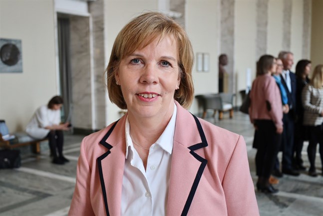 Justitieminister Anna-Maja Henriksson (SFP) säger att Finland kom med initiativet om en gemensam nordiskt arbetsgrupp i fjol.
