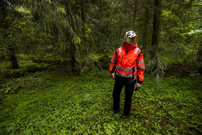 Landskapsarkeolog Pentti Risla vid Österbottens museum säger att en del av fynden helt tydligt är försvarsanläggningar medan andra är svårare att identifiera. Den här platsen har till exempel sannolikt varit en odlingslott eller en inhägnad för husdjur.