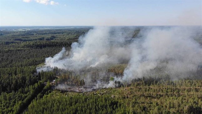 Omkring åtta hektar brann i Rökiöskogarna på måndagskvällen.