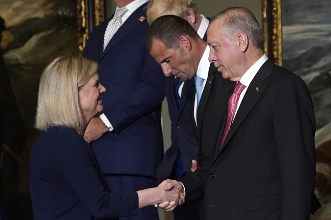 I en av punkterna ska Sverige ta hänsyn till "information, bevis och underrättelseuppgifter som förmedlats av Turkiet" när det gäller utlämningsförfrågningar. Arkivbild.