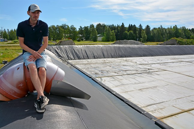 Jonathan Nordberg samlar regnvatten från växthustaken i en stor bassäng. En presenning förhindrar att vattnet smutsas ned.