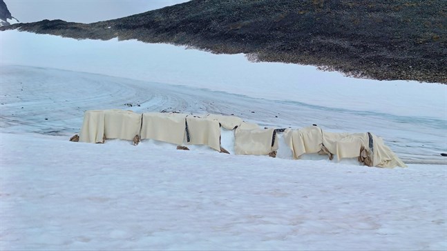 Filtarna på Björlings glaciär vid Kebnekaisemassivets sydöstra sida. Hittills har de bromsat cirka 1,5 meters avsmältning.