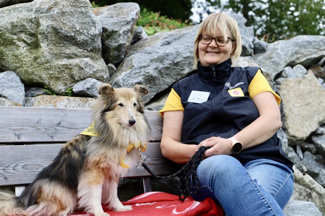 Busan, en shetland sheepdog, åker runt till skolor i regionen och lyssnar på elever som behöver stöd i läsningen. Här med matte Gun-May Liljedahl.