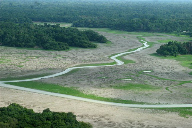 Svår torka har drabbat regnskogen i Amazonas vid några tillfällen de senaste decennierna. Ett av de värsta åren var 2005 då vissa vattendrag torkade ut. Bilden är från delstaten Amazonas.