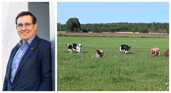 Förra landskapsdirektören Kaj Suomela har ett nytt uppdrag: Att utreda lantbruksutbildningen på andra och tredje stadiet i Svenskfinland. SLC gav uppdraget, efter oro över att färre söker sig till lantbruksstudier.