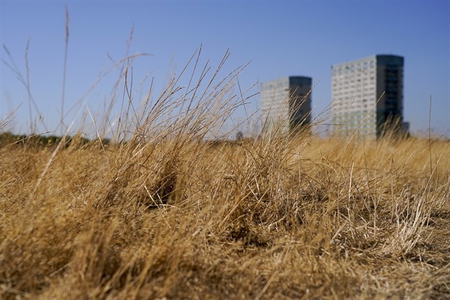 Temperaturen väntas nå 35 grader på vissa platser i Storbritannien nästa vecka.