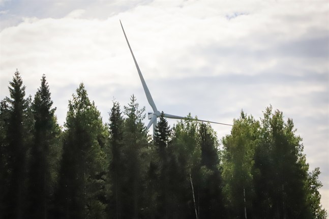 Att vindkraftsbolagets vd ännu har mage att nämna orden "ansvarsfull planering och goodwill" känns som det mest hånfulla mot oss i Tjöck, anser skribenten.